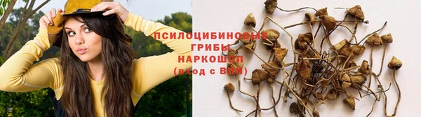 дживик Балахна