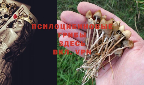 ПСИЛОЦИБИНОВЫЕ ГРИБЫ Протвино