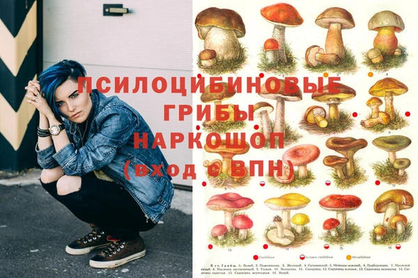 дживик Балахна