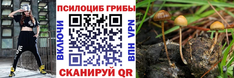 Псилоцибиновые грибы ЛСД  Фурманов 